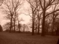 /album/photo-gallery-photogallery1/sepia-secret-jpg/
